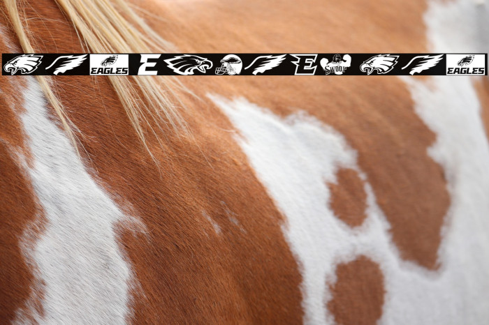 Fly Eagles Fly Example 3