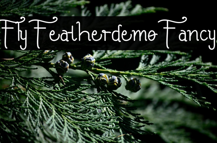 Fly Featherdemo Fancy Example 1