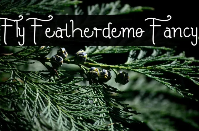 Fly Featherdemo Fancy Example 1