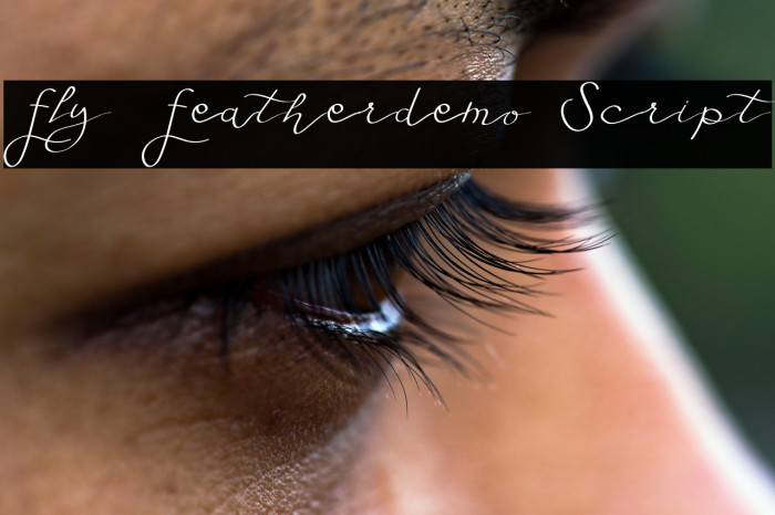 Fly Featherdemo Script Example 1