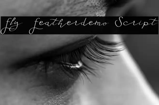 Fly Featherdemo Script Font examples