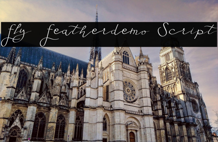 Fly Featherdemo Script Example 2