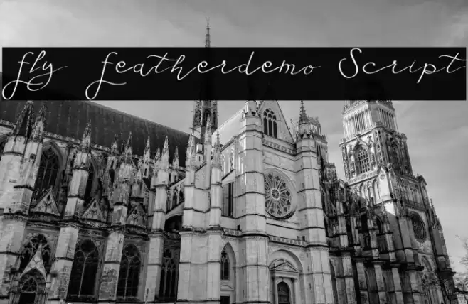 Fly Featherdemo Script Font examples