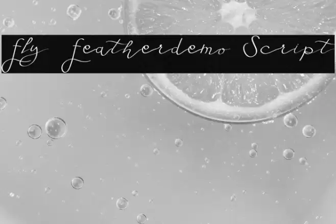 Fly Featherdemo Script Font examples
