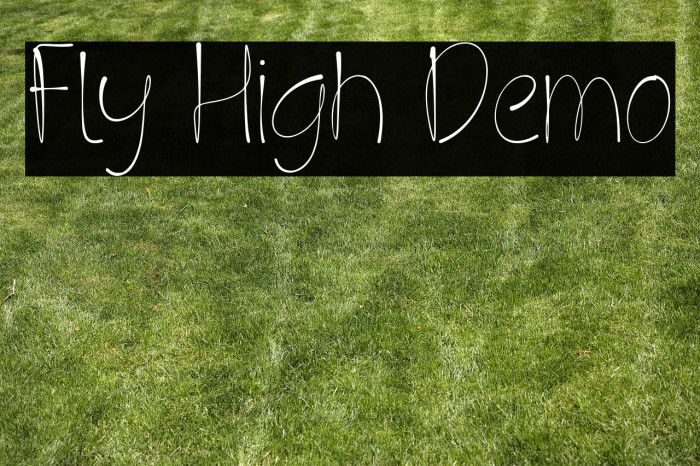 Fly High Demo Example 2