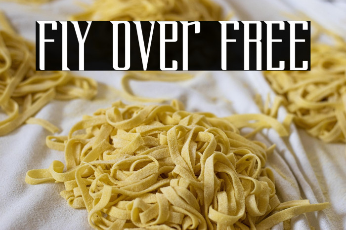 Fly Over FREE Example 1