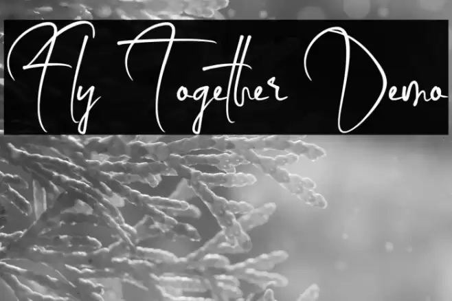 Fly Together Demo Шрифта examples