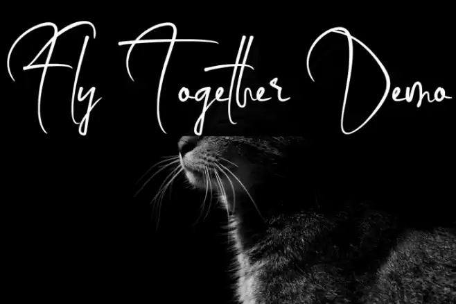 Fly Together Demo Шрифта examples