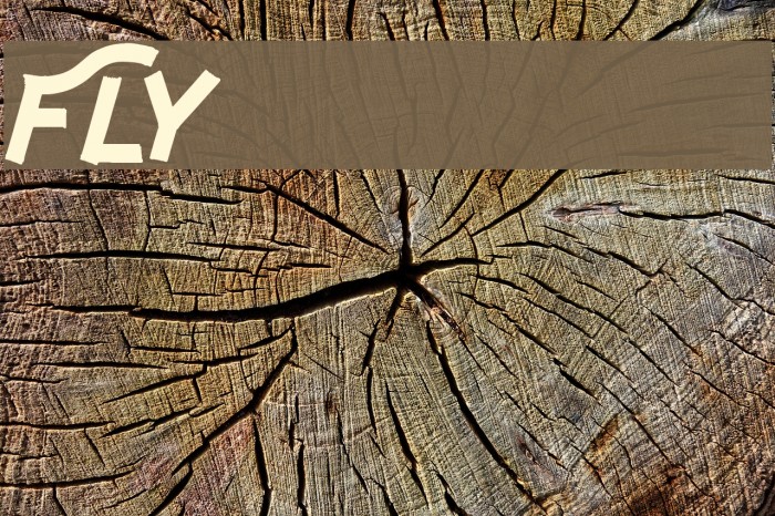 Fly n Walk Font examples