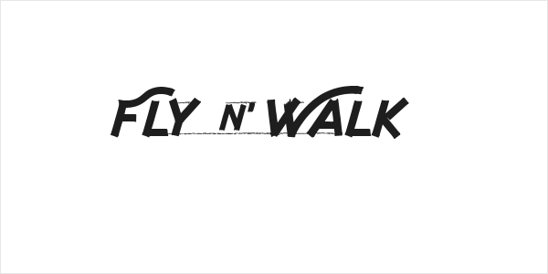 Fly n Walk  Logo