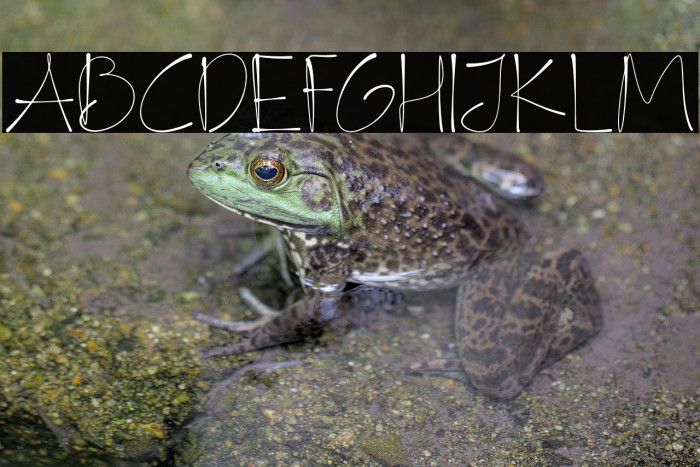 FlyHighDemo Example 1