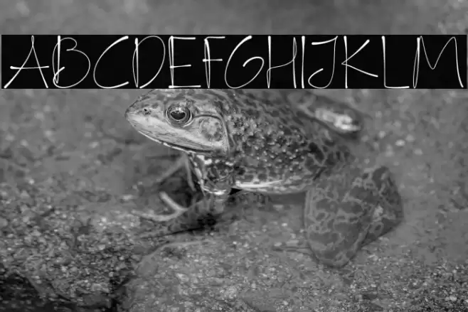 FlyHighDemo Font examples