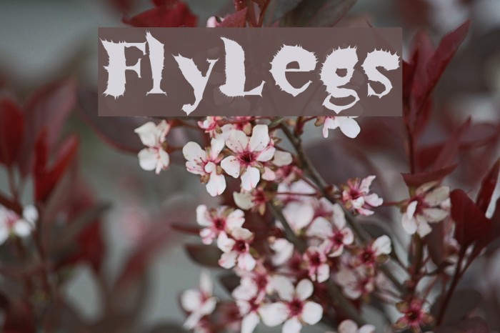 FlyLegs Font examples