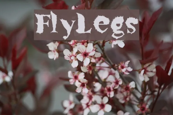 FlyLegs Example 1
