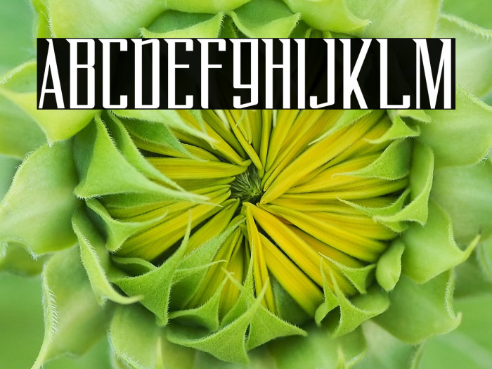 FlyOverFREE Example 1