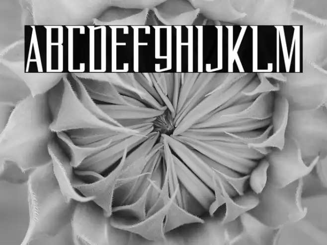 FlyOverFREE Font examples