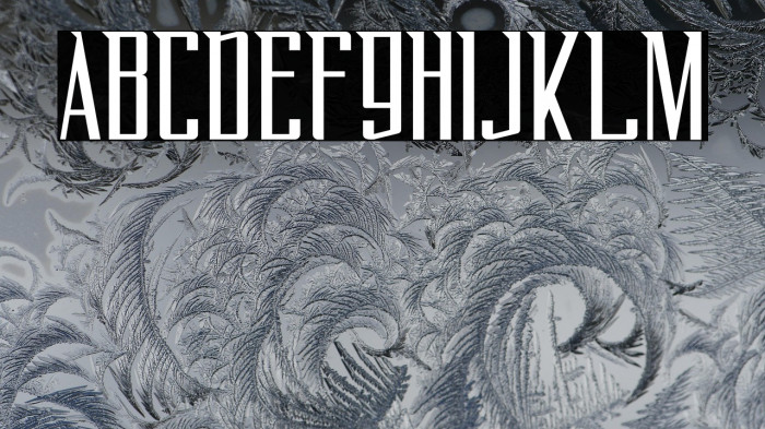 FlyOverFREE Example 3