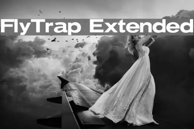 FlyTrap Extended Font examples