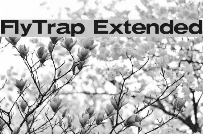 FlyTrap Extended Font examples