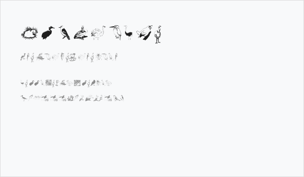 FlyWithMe Business Card