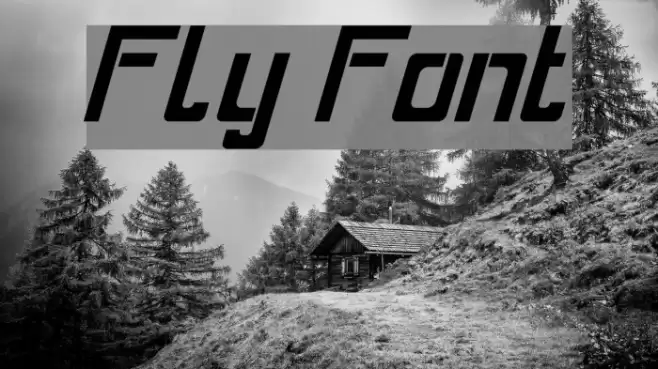 Fly Font examples