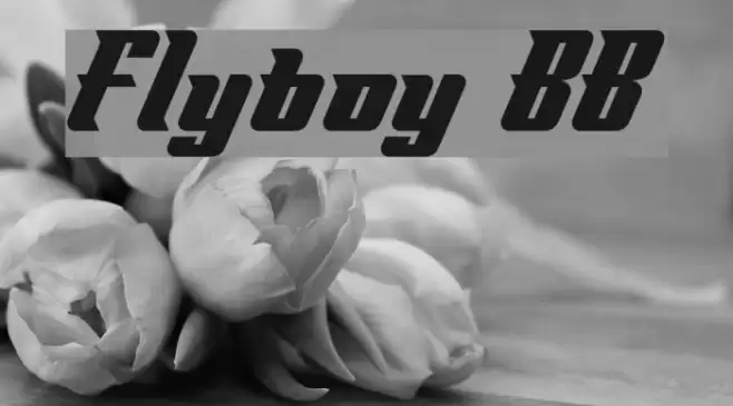 Flyboy BB Font examples