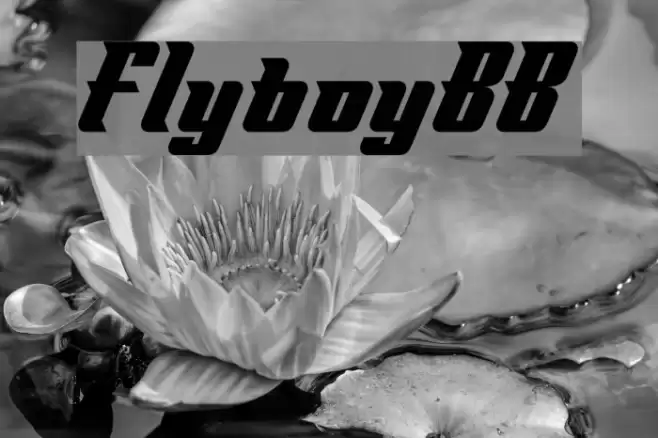 FlyboyBB Font examples