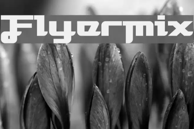 Flyermix Font examples