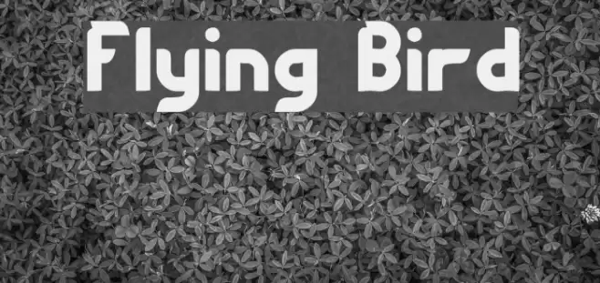 Flying Bird Font examples