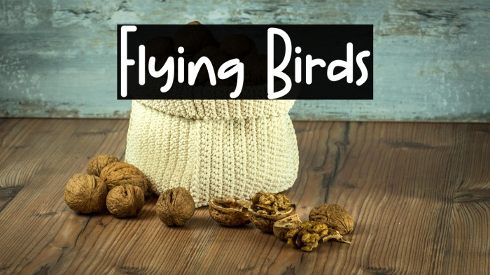 Flying Birds Schriftart examples
