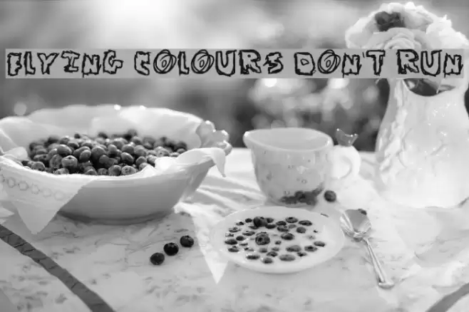 Flying Colours Don't Run Font examples