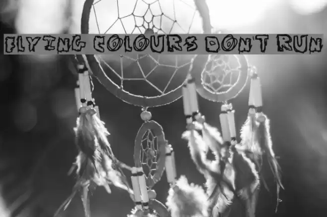 Flying Colours Don't Run Font examples