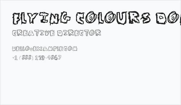 Flying Colours Don't Run Business Card