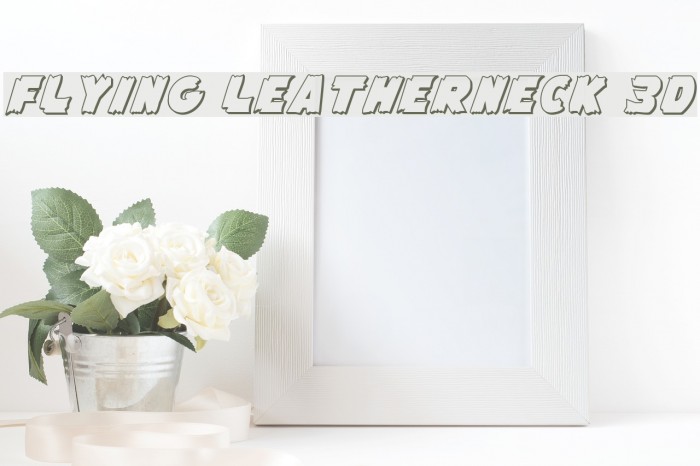 Flying Leatherneck 3D Example 1