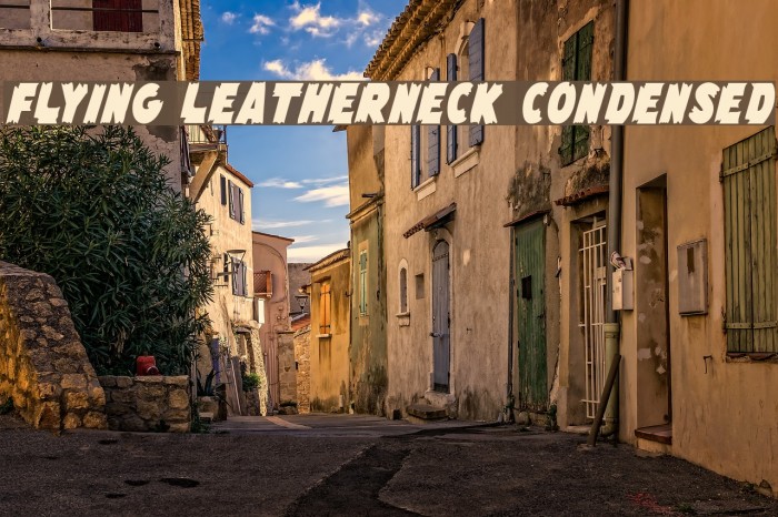 Flying Leatherneck Condensed Font examples