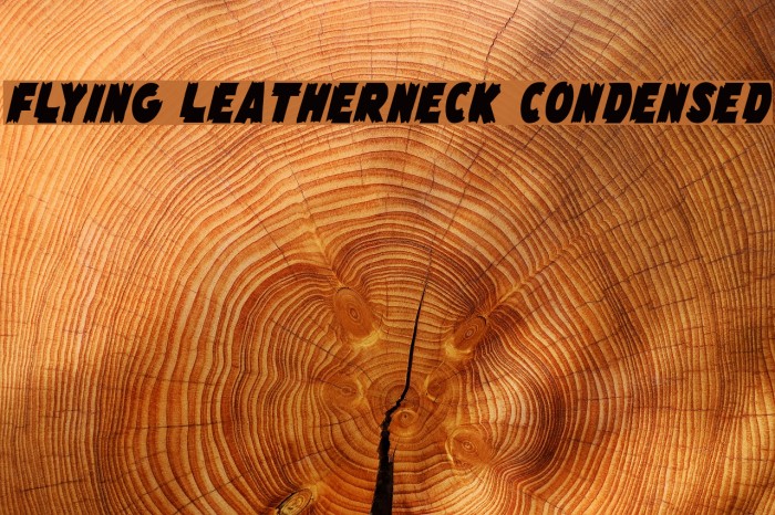 Flying Leatherneck Condensed Font examples