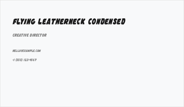 Flying Leatherneck Condensed Business Card