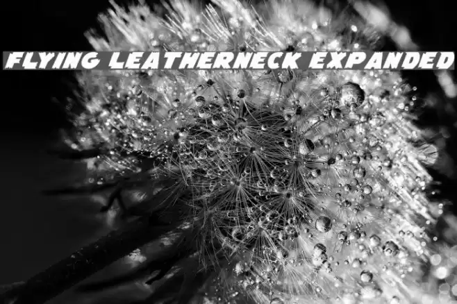 Flying Leatherneck Expanded Font examples