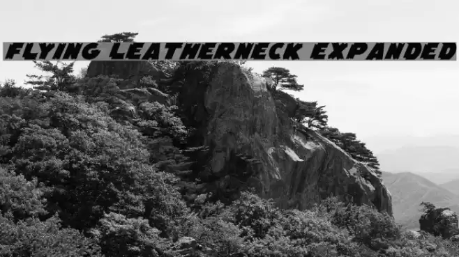 Flying Leatherneck Expanded Font examples