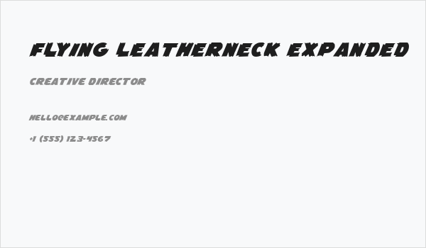 Flying Leatherneck Expanded Business Card