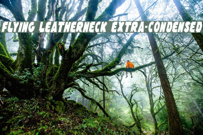Flying Leatherneck Extra-condensed Font examples