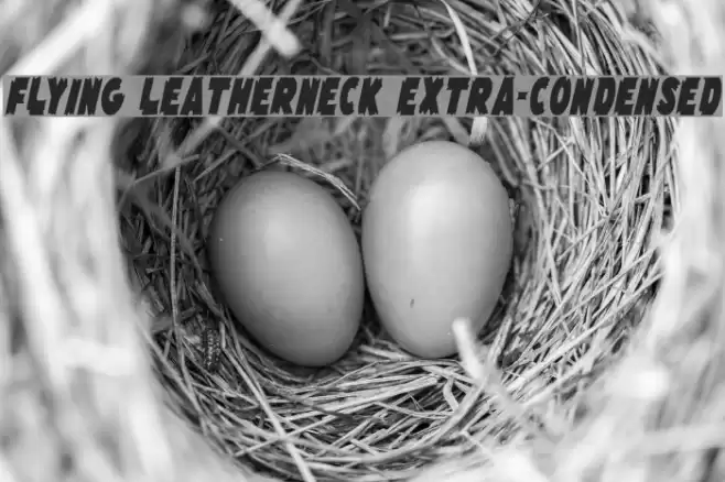 Flying Leatherneck Extra-condensed Font examples