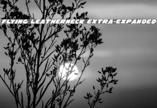 Flying Leatherneck Extra-expanded Font examples