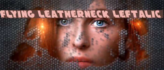 Flying Leatherneck Leftalic Example 1