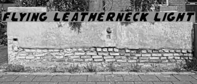 Flying Leatherneck Light Font examples