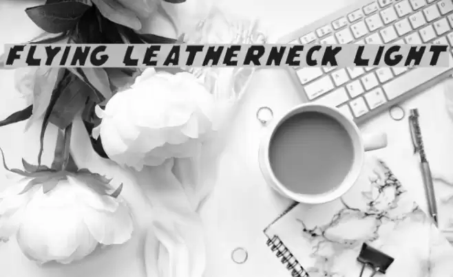 Flying Leatherneck Light Font examples