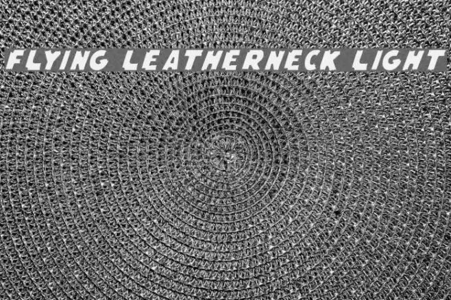 Flying Leatherneck Light Font examples