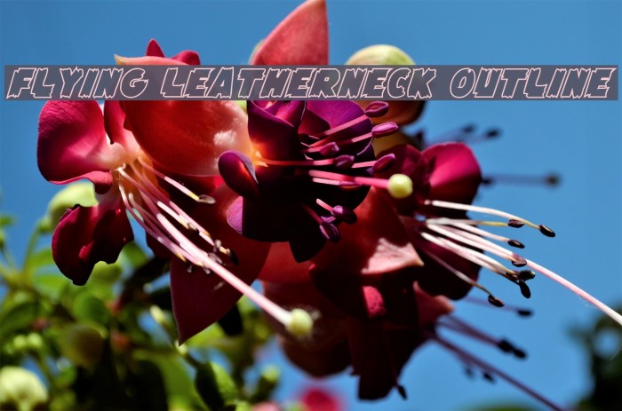 Flying Leatherneck Outline Font examples