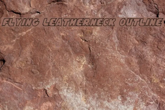 Flying Leatherneck Outline Example 3