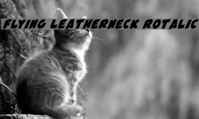 Flying Leatherneck Rotalic Font examples